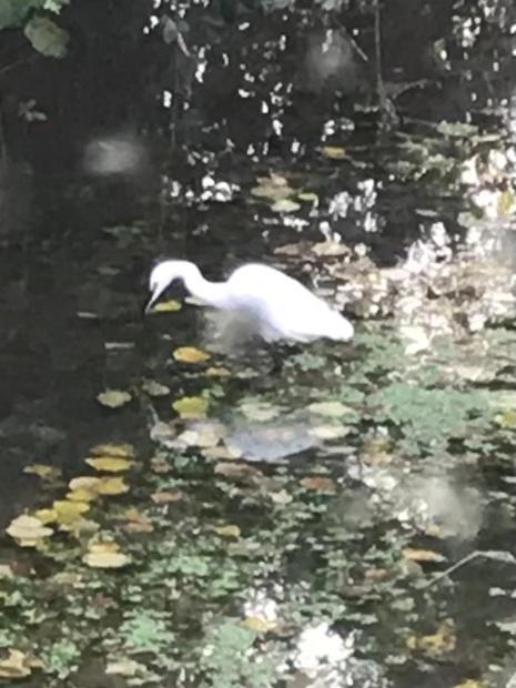 Reveil Aux Chants Des Oiseaux Asse-le-Riboul Экстерьер фото